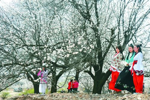 betoo7足球球探 赛事分析